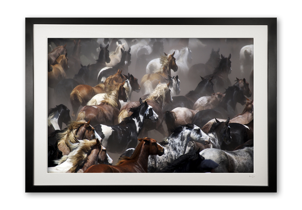 001.a. Tropillas in Colour E56G9039 Edited framed