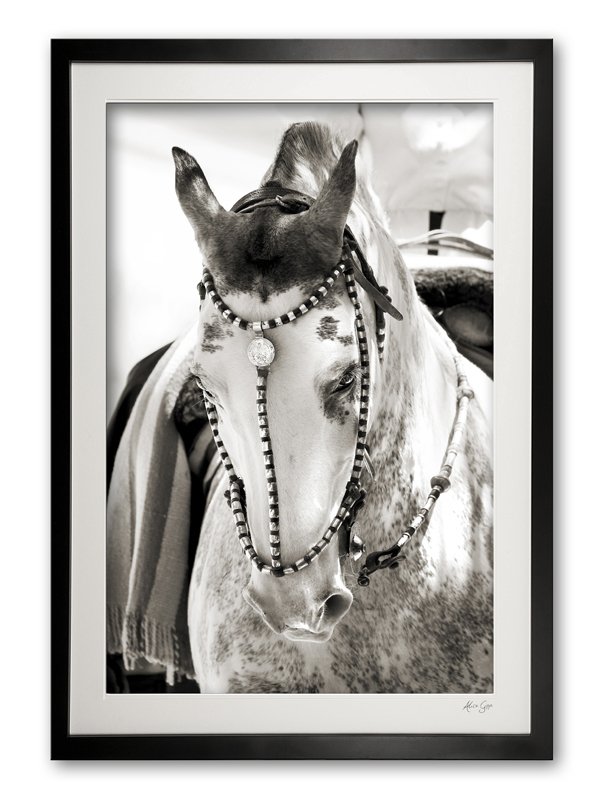 117.a. Festival Finery IV E56G0001 sepia framed