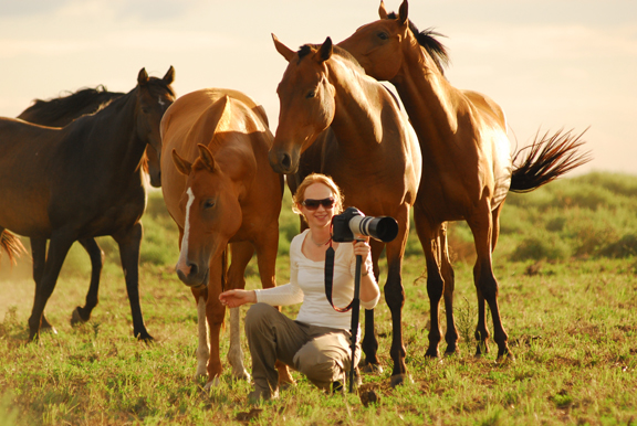 aliceandhorsesresize