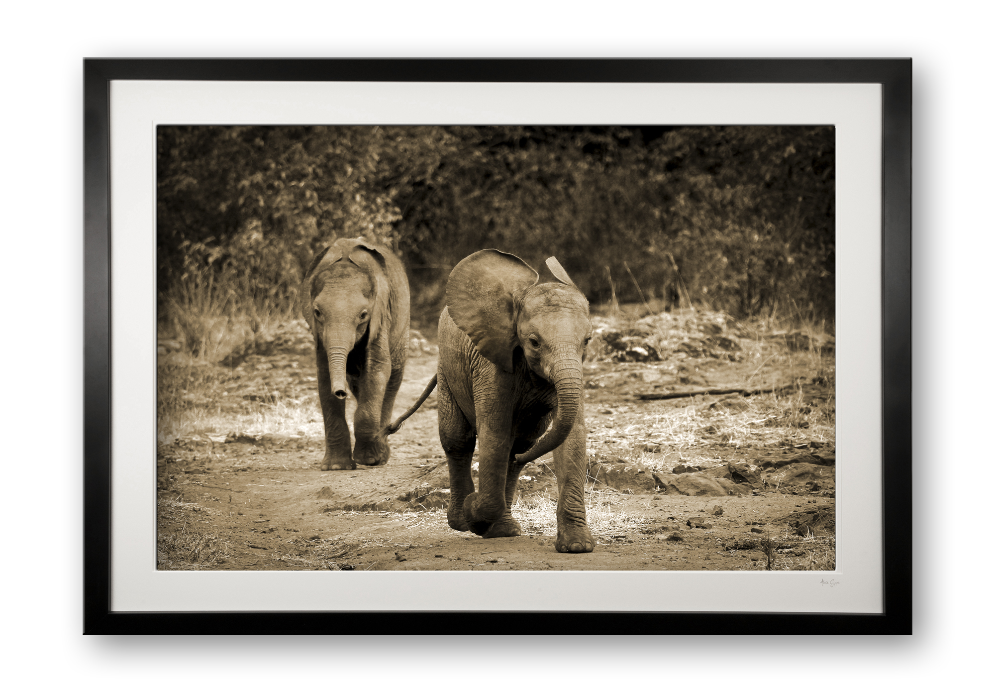 00019_sheldricks_children_ii_black_cubix_special_edition_of_25_framed