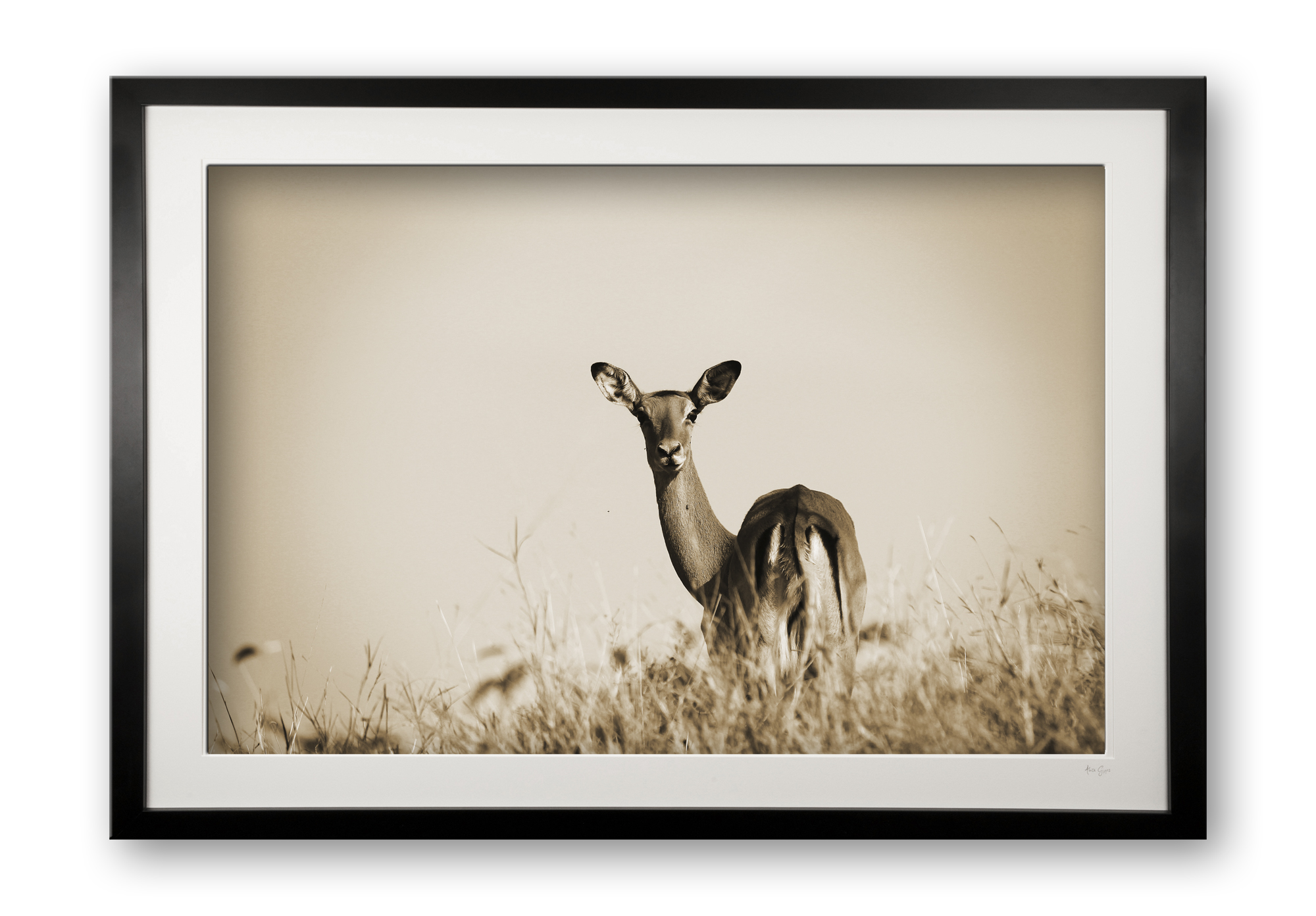 00035_lookout_post_cubix_special_editionof_25_frame