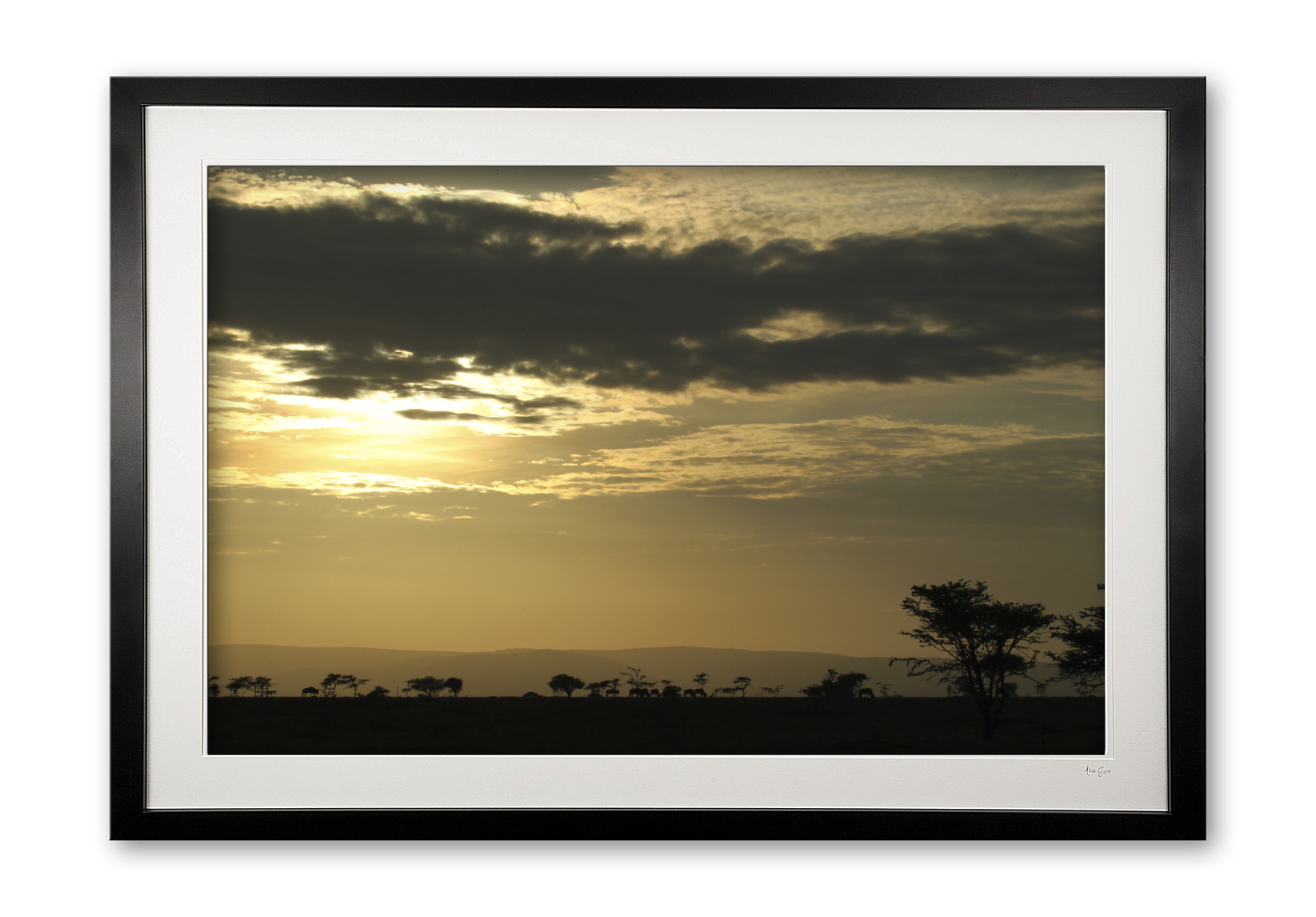 00060__african_dawn_framed_e56g9814_1187045201
