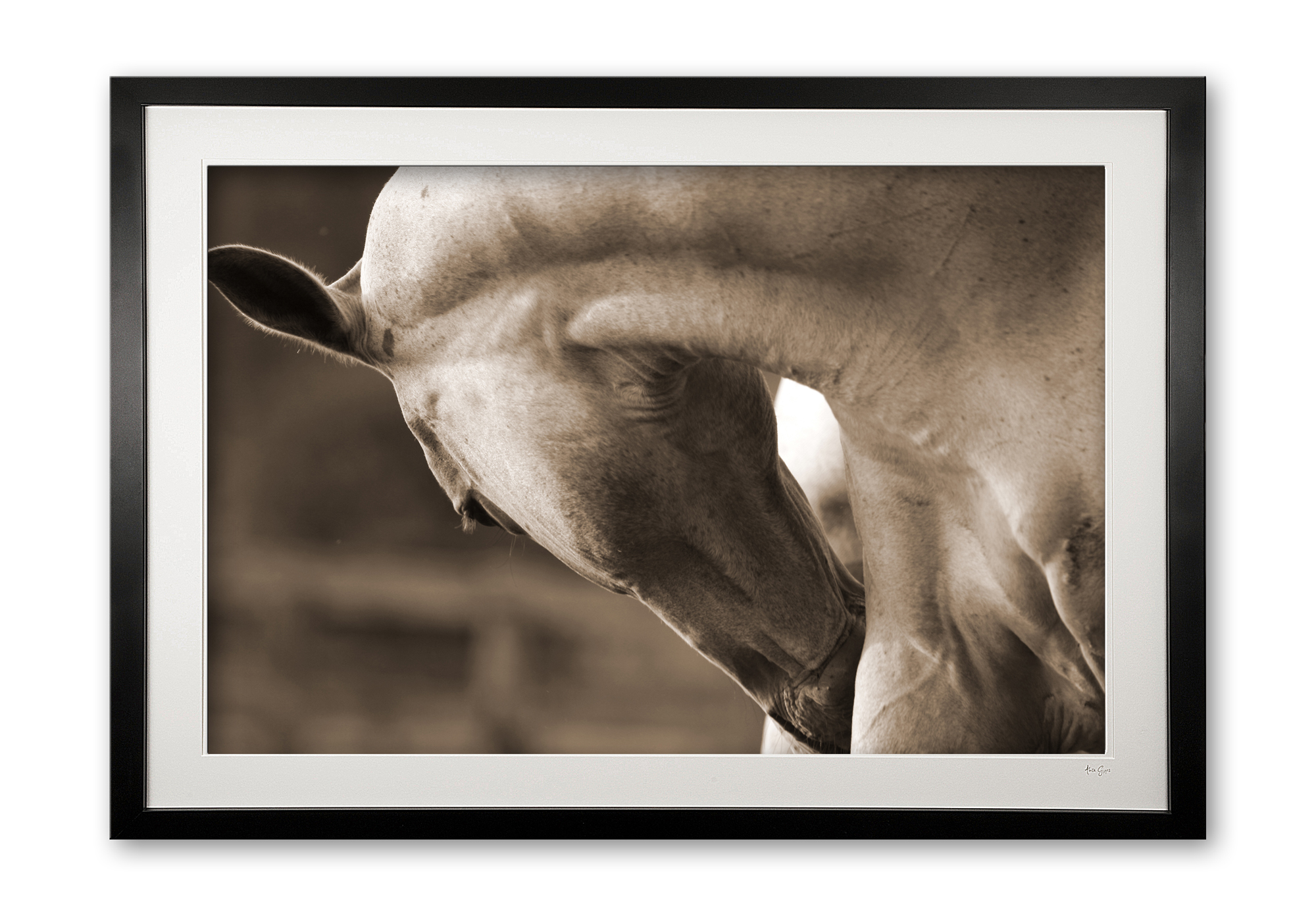 004__relax_075x1194_framed_1347045847