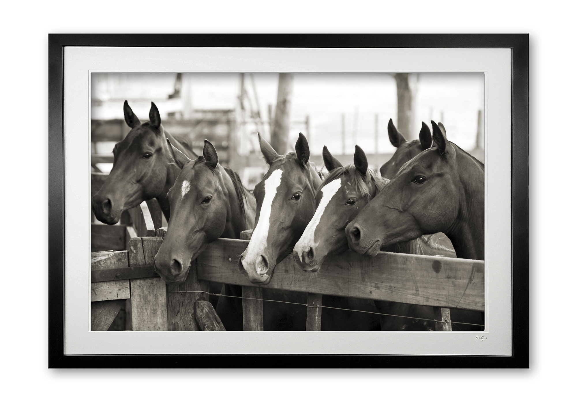 008__young_polo_ponies_sepia_075x9324_framed_60855151