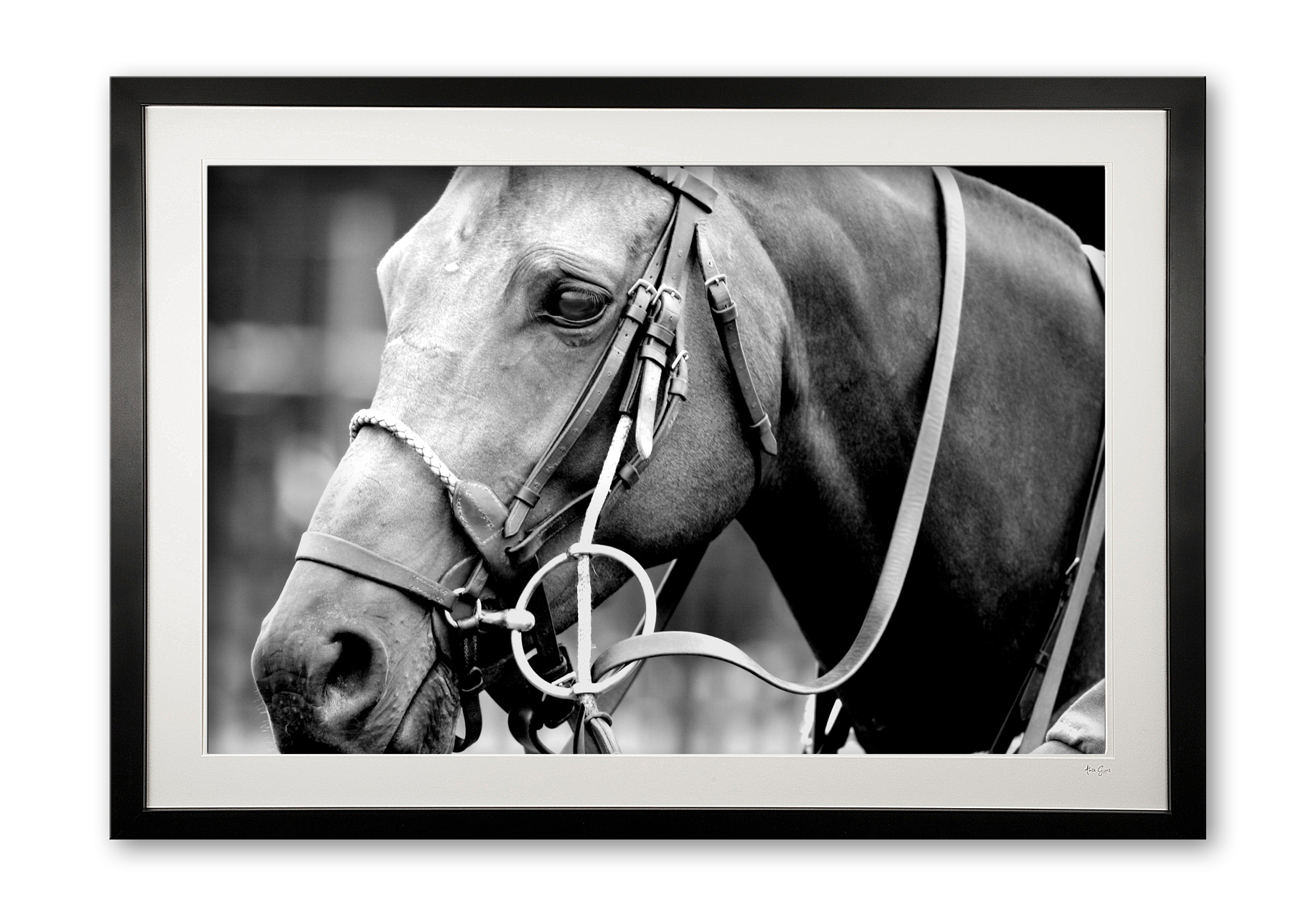 009__polo_pony_black_white_414_1455_framed