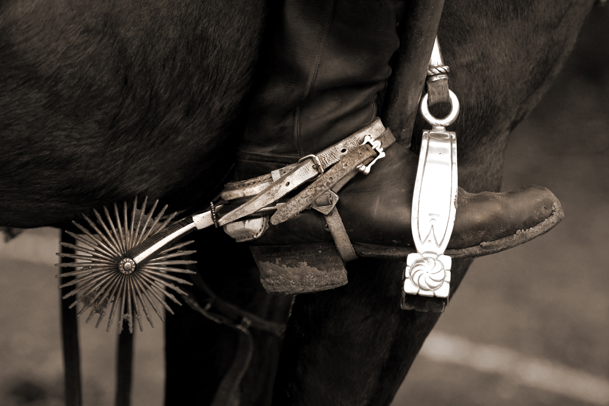 'Argentine Tack Detail - SPUR'