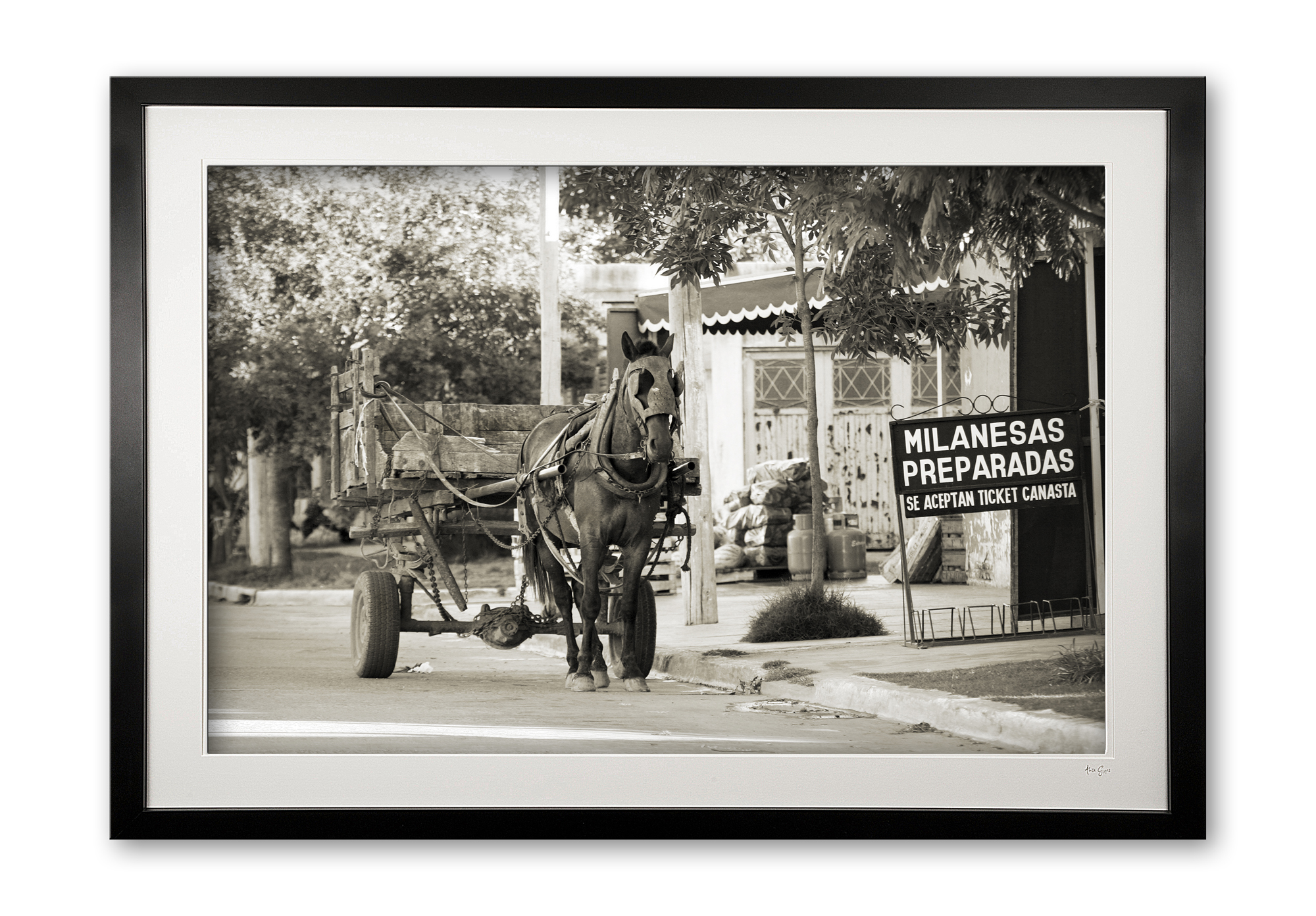 039_b__milaneasas_preparadas_sepia__aa4_framed_464603883