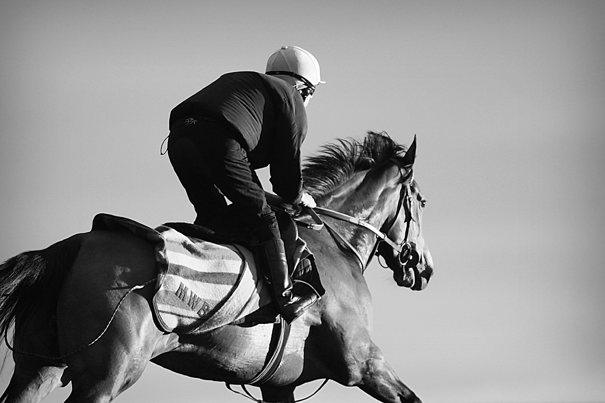 048_c__golden_galloper_bw_e56g7437_bw_i