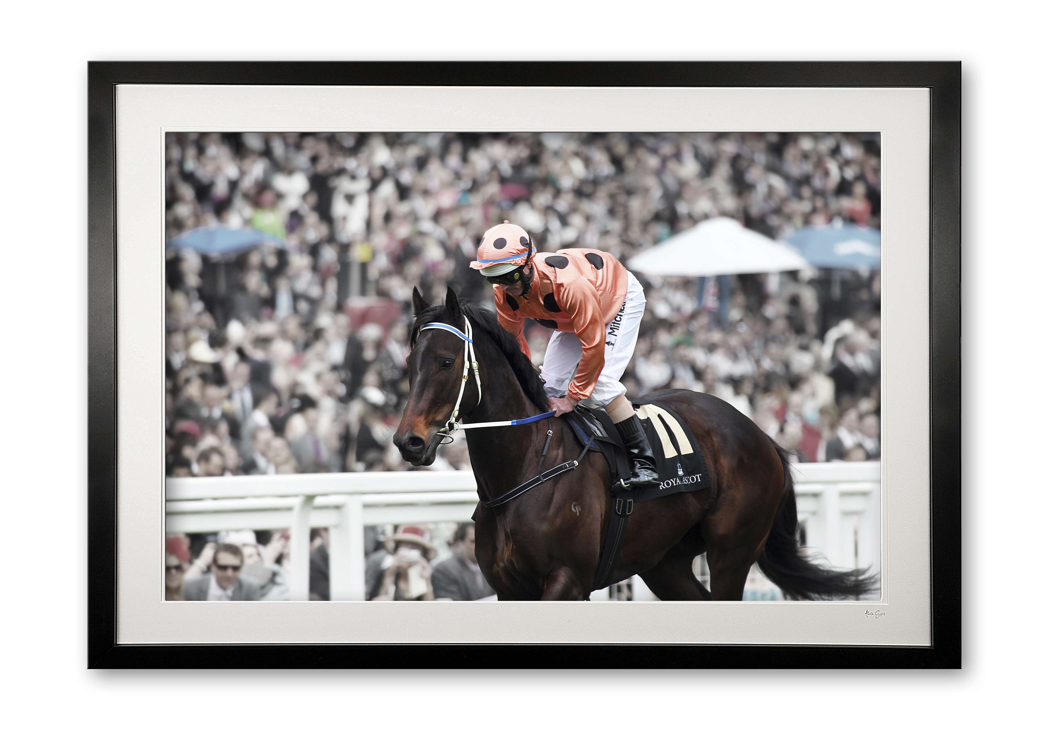 048_n__black_caviar_i_e56g8654_fade_framed