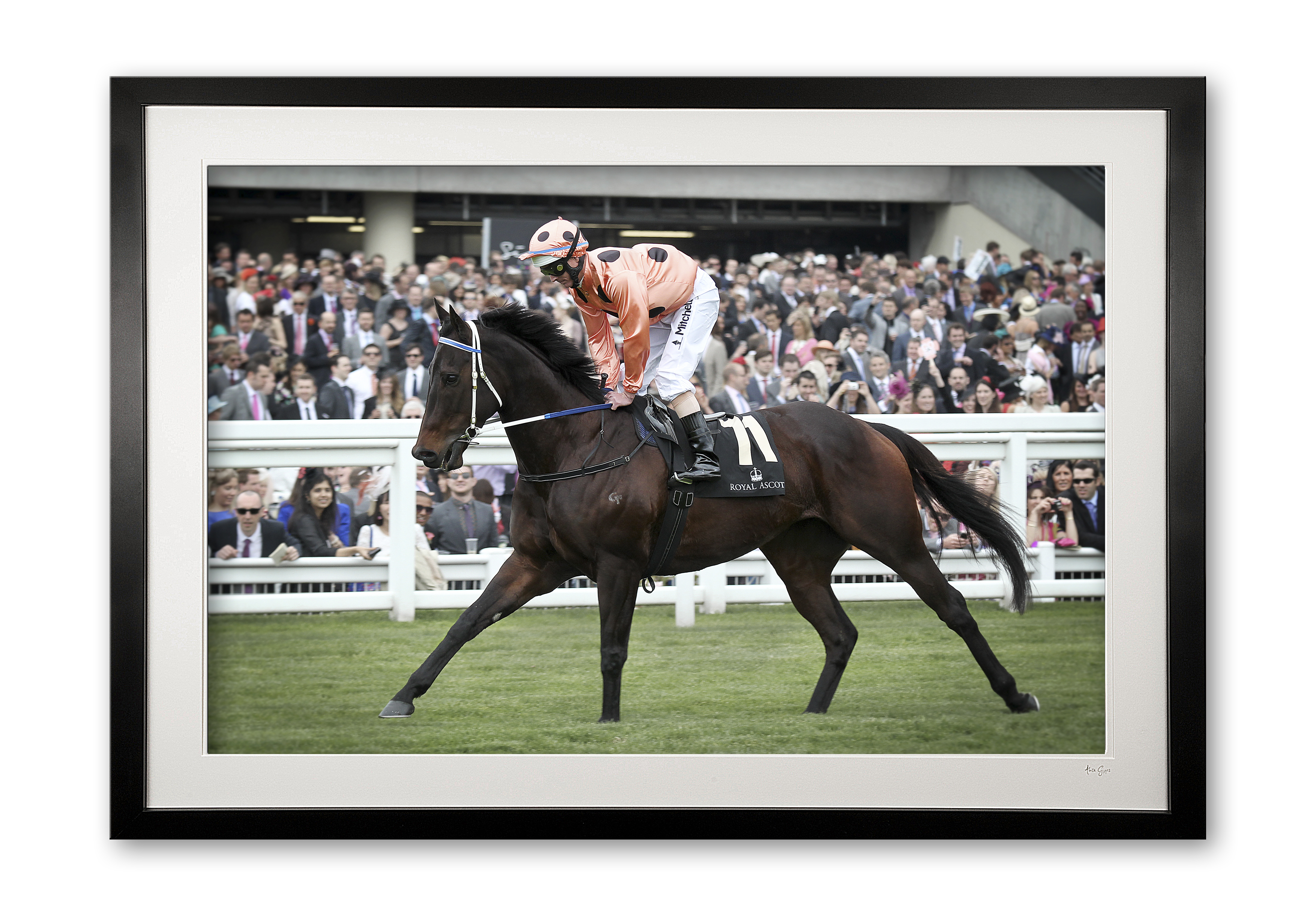 048_o_black_caviar_ii_e56g8662_fade_special_edition_of_25_framed