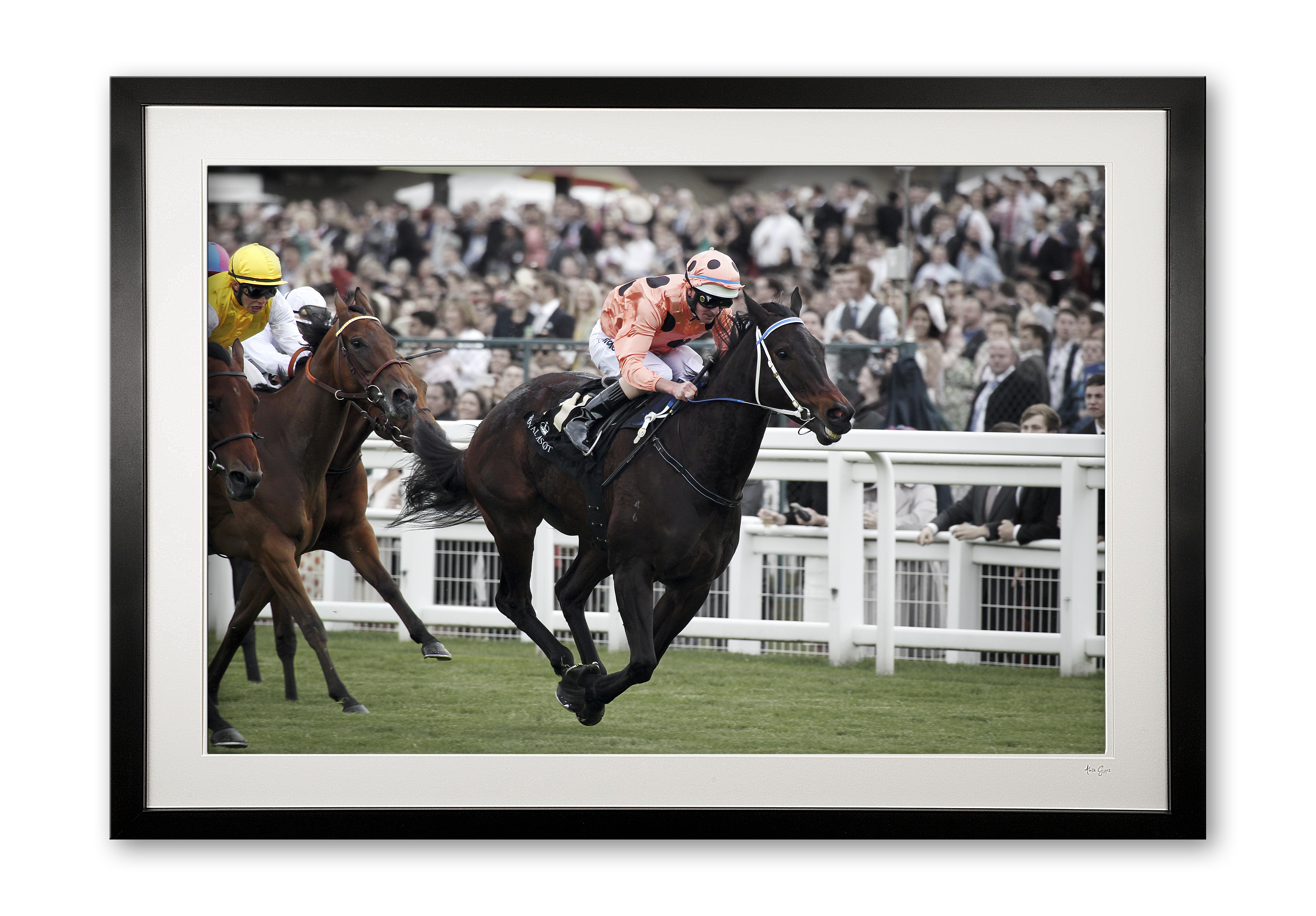 048_q__black_caviar_iii_e56g8691_fade_special_edition_of_25_framed