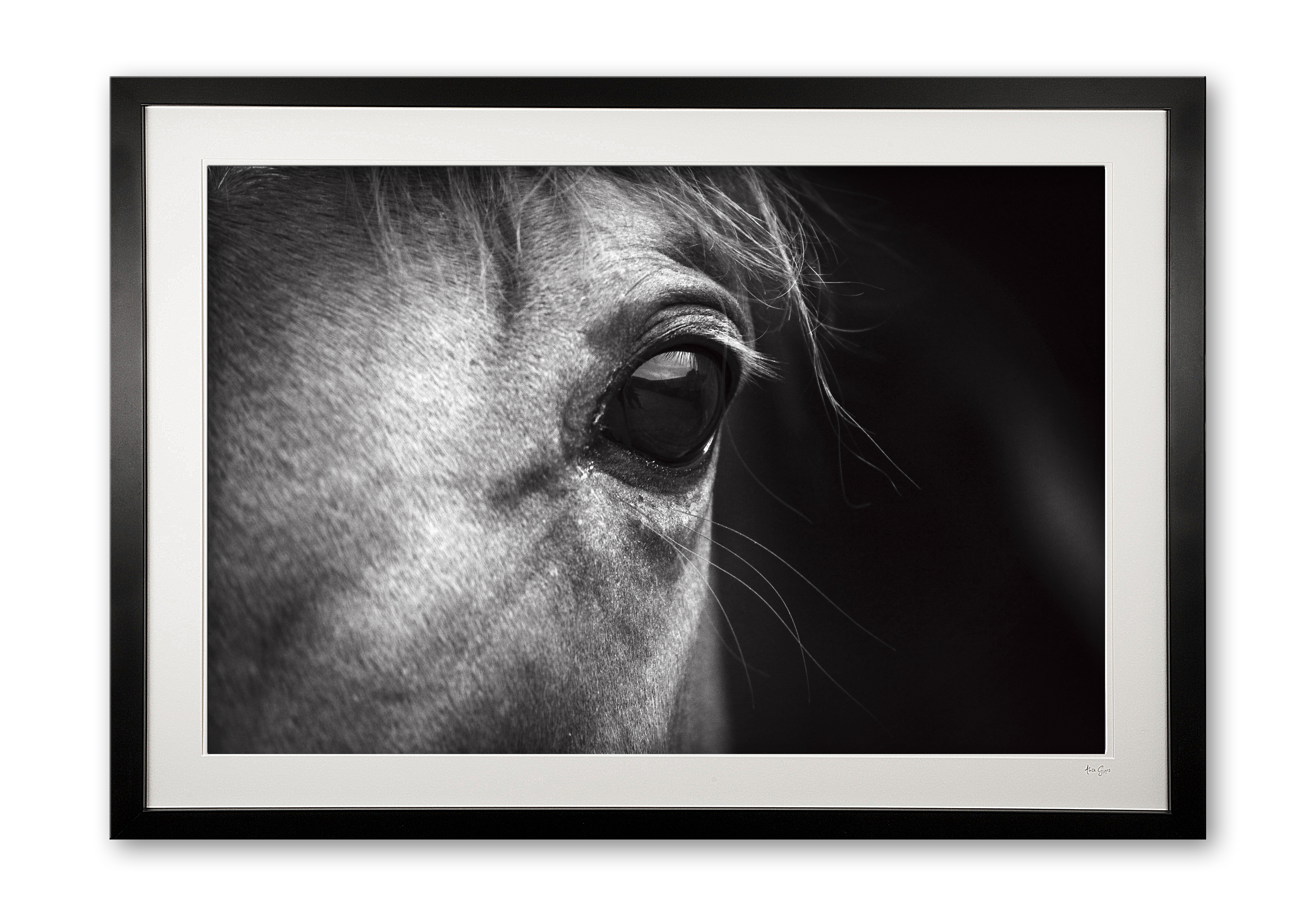 048_v__epsom_racehorse_detaile56g7936_1bw_framed