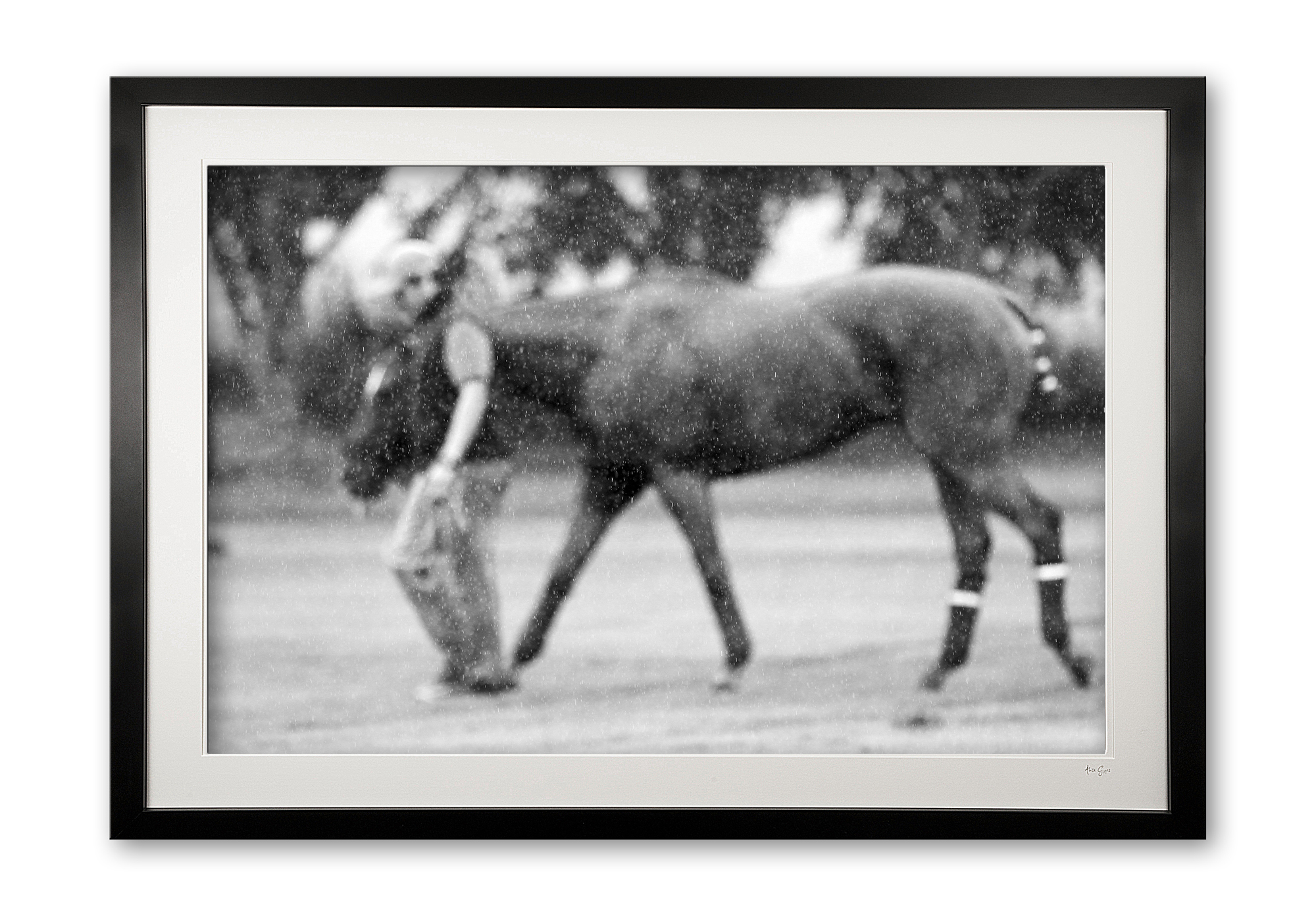 054__rainy_day_i_black__white_e56g0719bw_framed