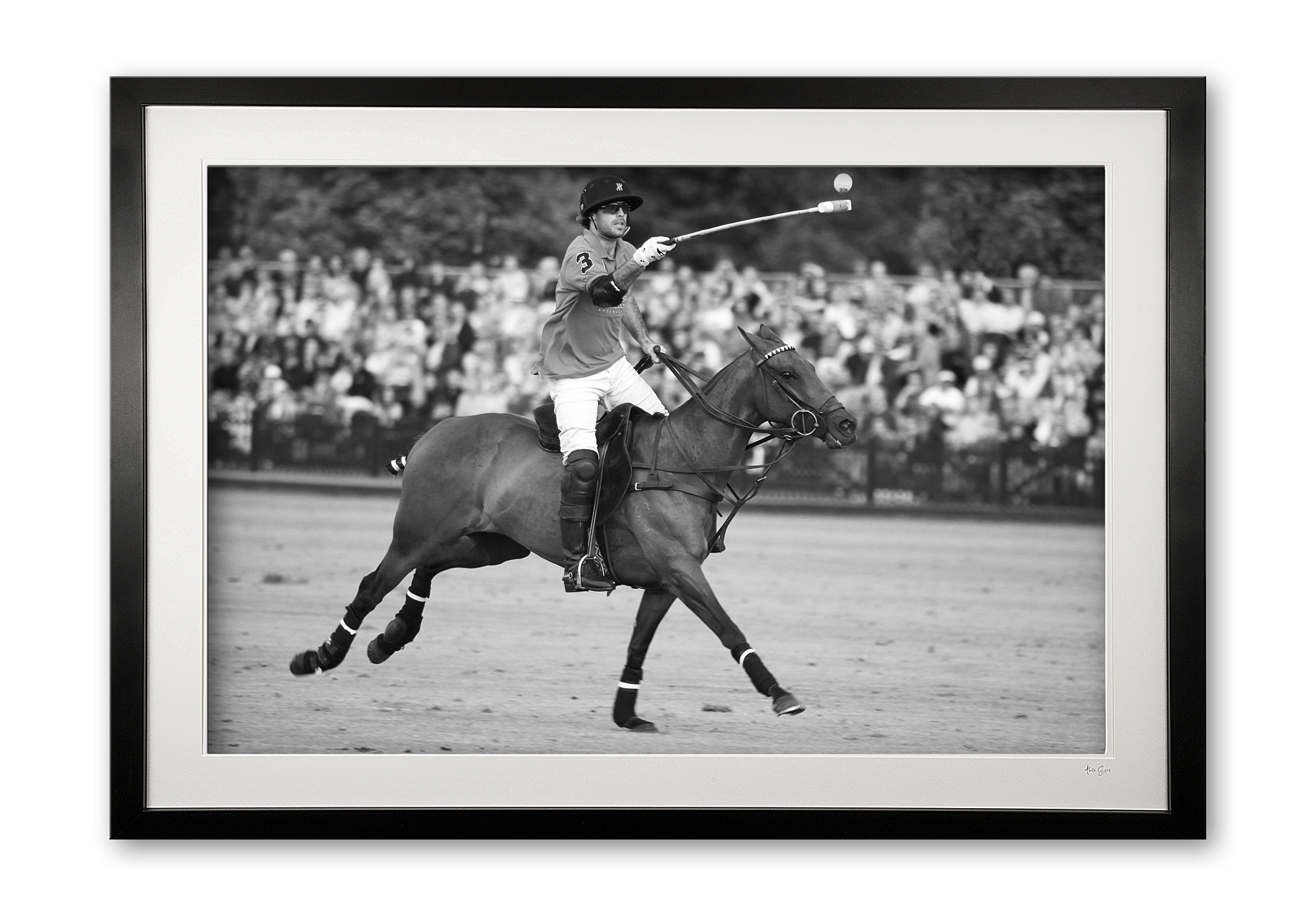 065_b_i__10_goal_skills_e56g1221_framed_bw
