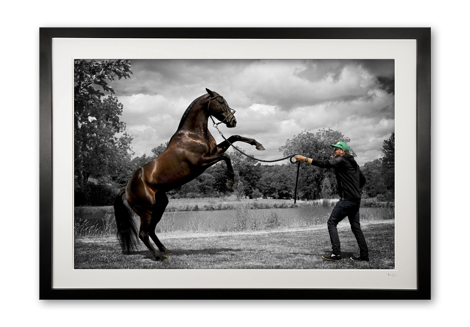 100_b__rolinga__polito_e56g9176_special_edition_framed