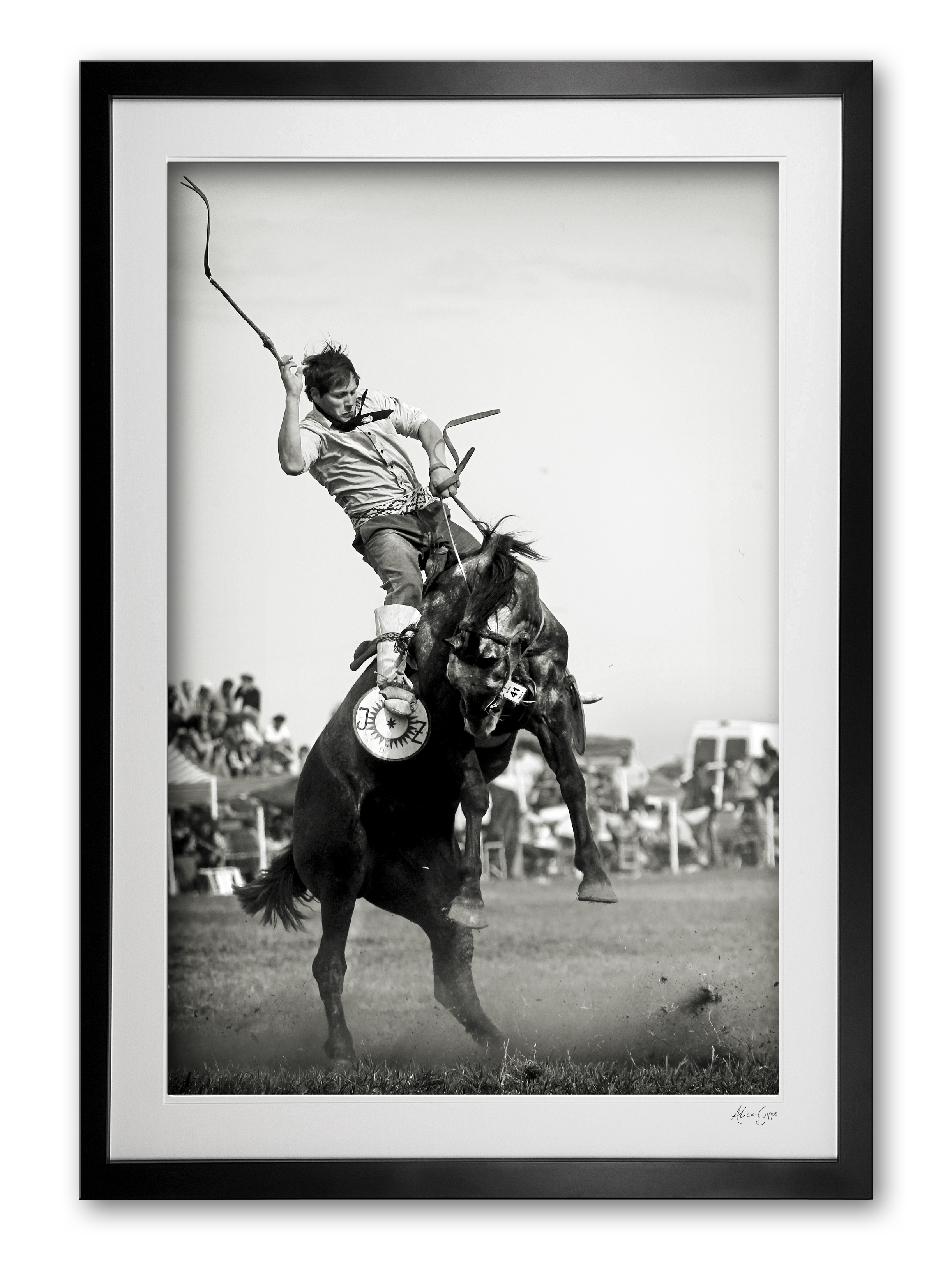 113_c__rough_ride_e56g7811_special_edition_framed_1460543974