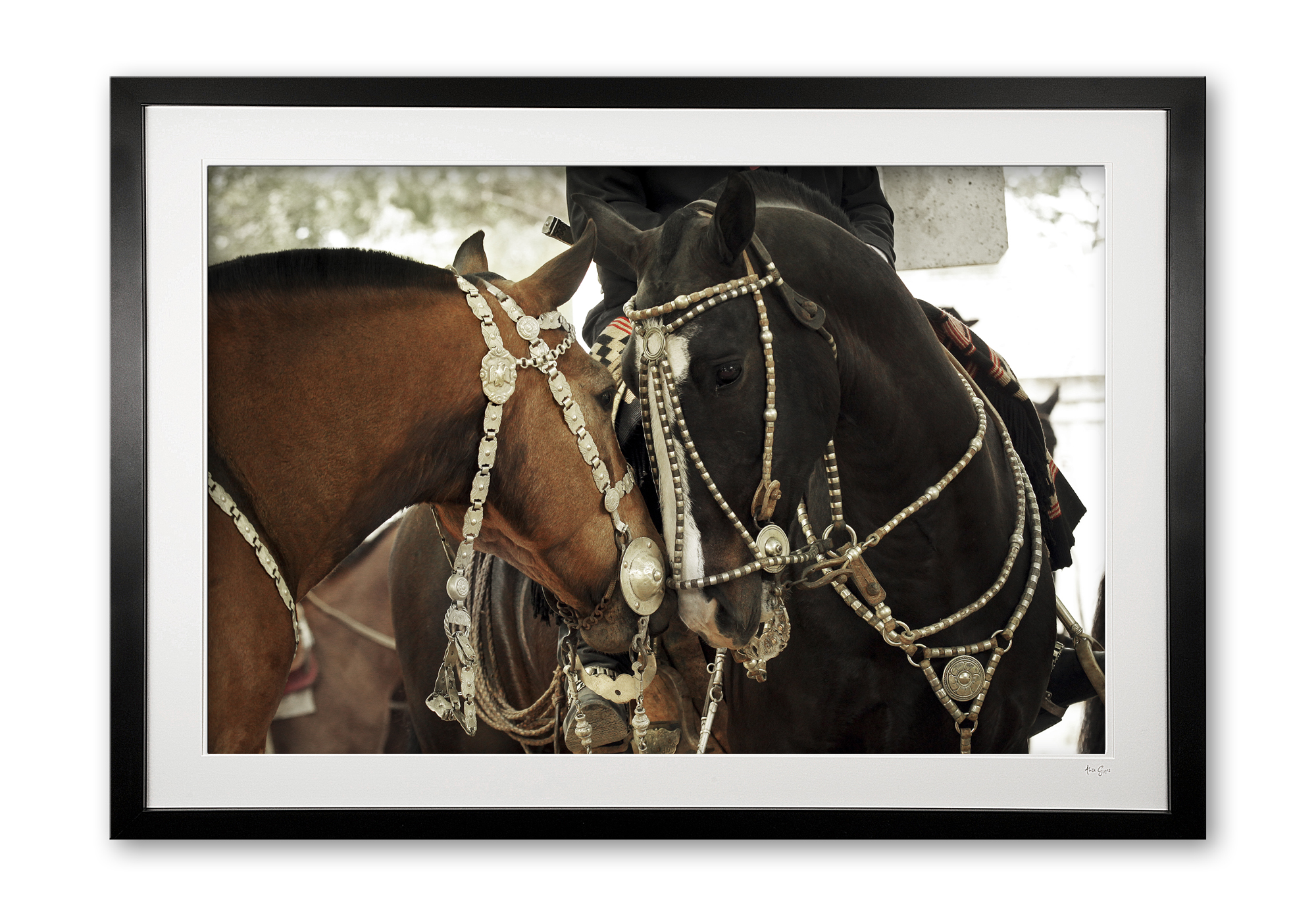 123__areco_festival_iv_e56g9253_framed_2135337892