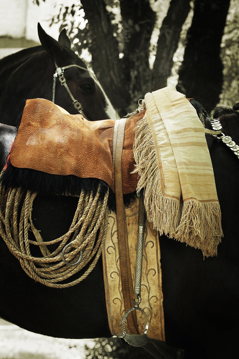137_c__traditional_recardo_detail_i__e56g9326_1-export