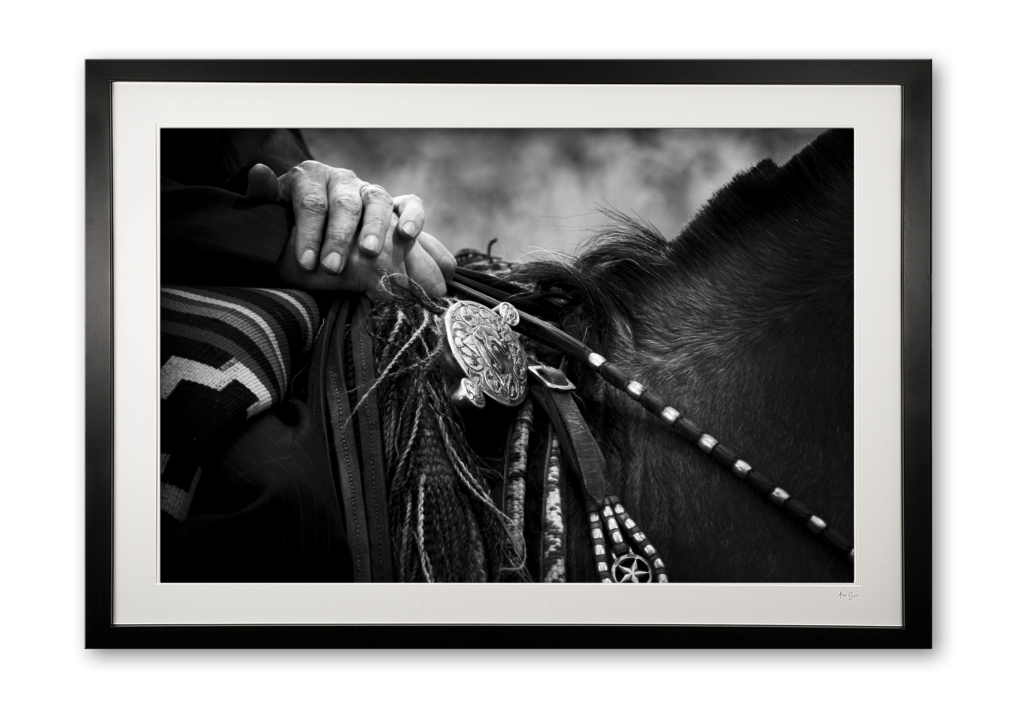 137_e_silver_recardo_detail_ii_framed_specail_edition_of_25_600361043