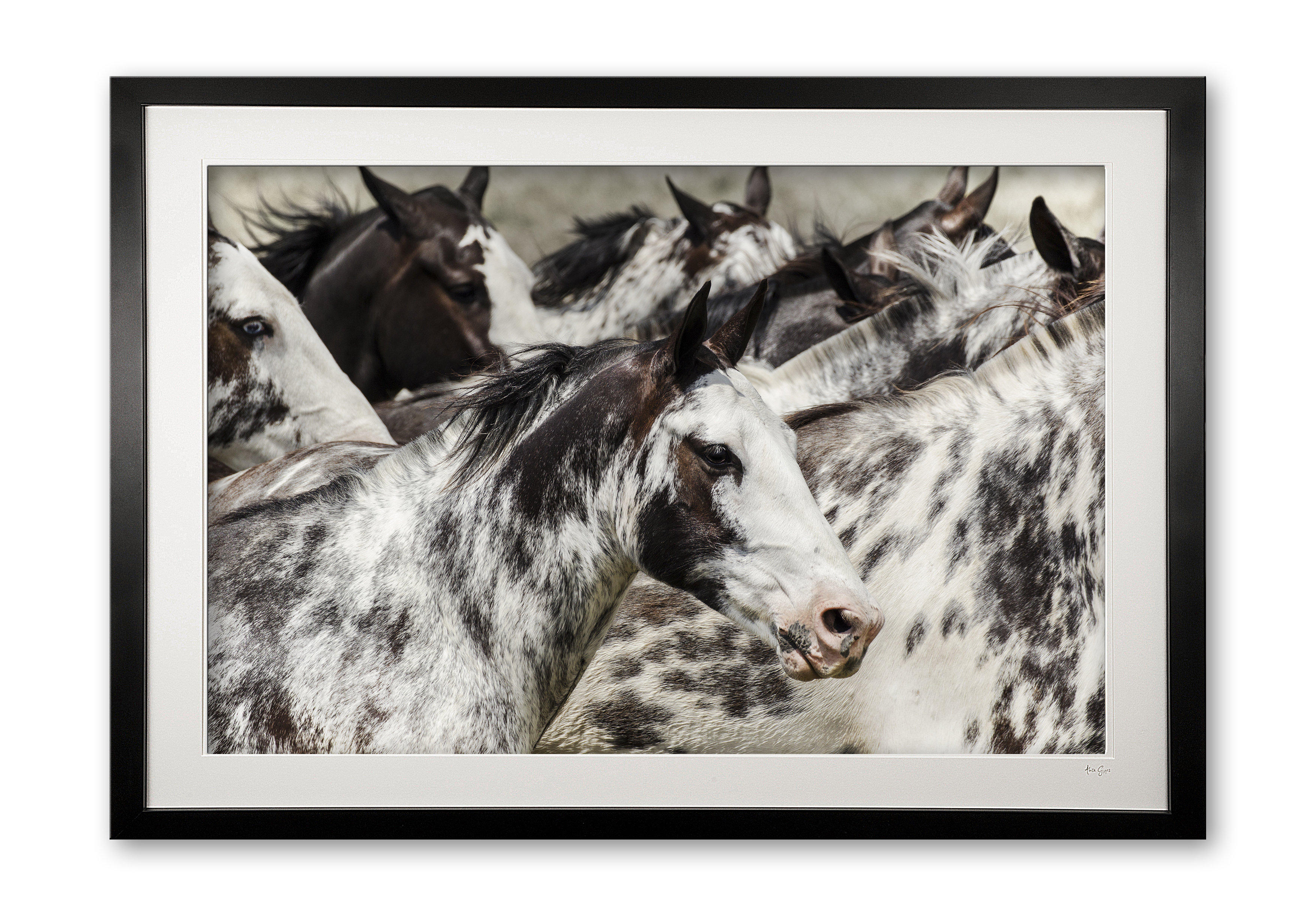 140__los_overos_e56g2227_special_edition_of_25_framed_1335051569