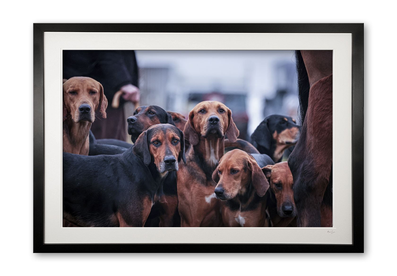 151_p__the_pack_ii_framed