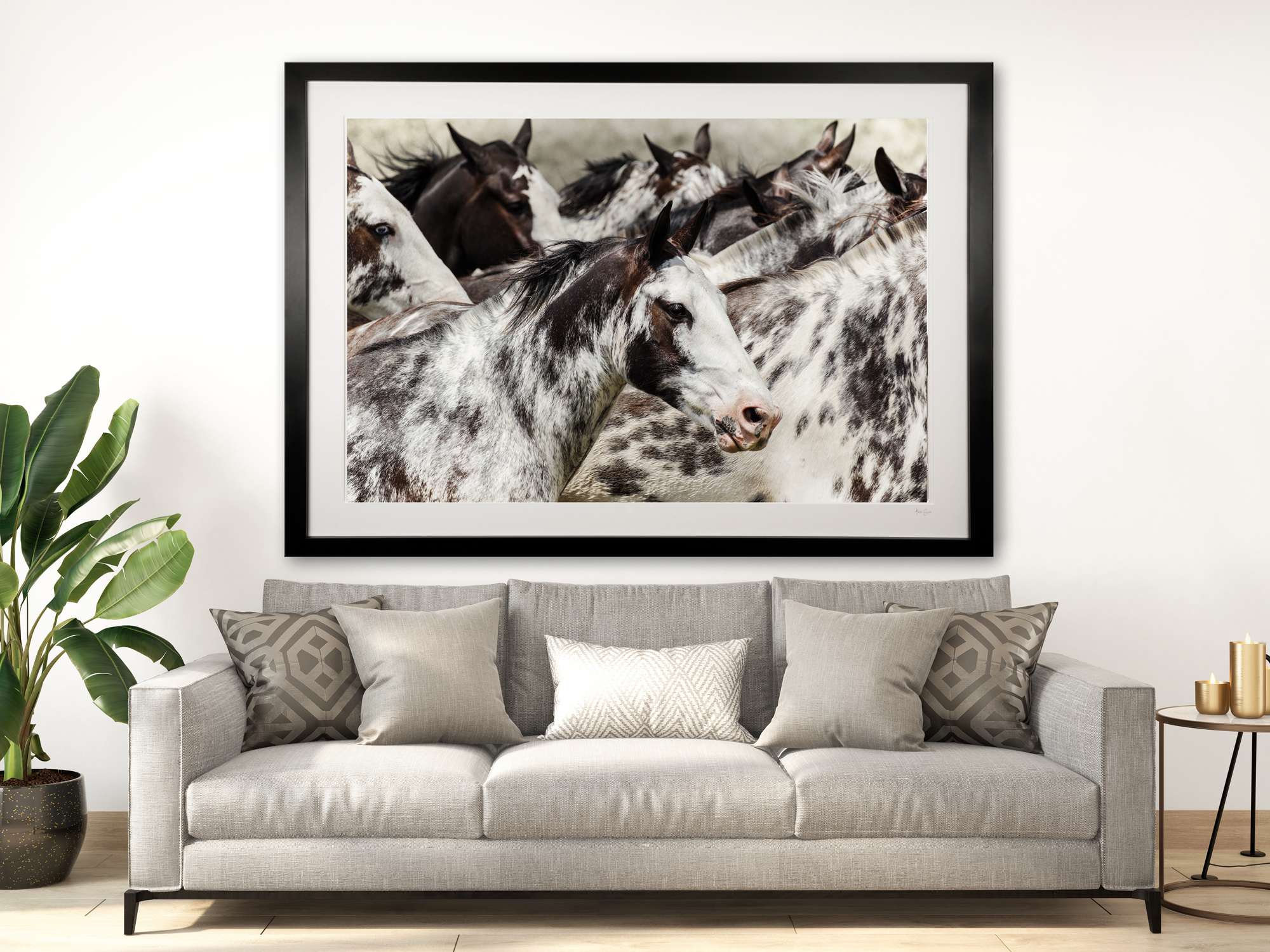 adobestock_239394992_2_los_overos_2000xp_x_1500px_2025668451