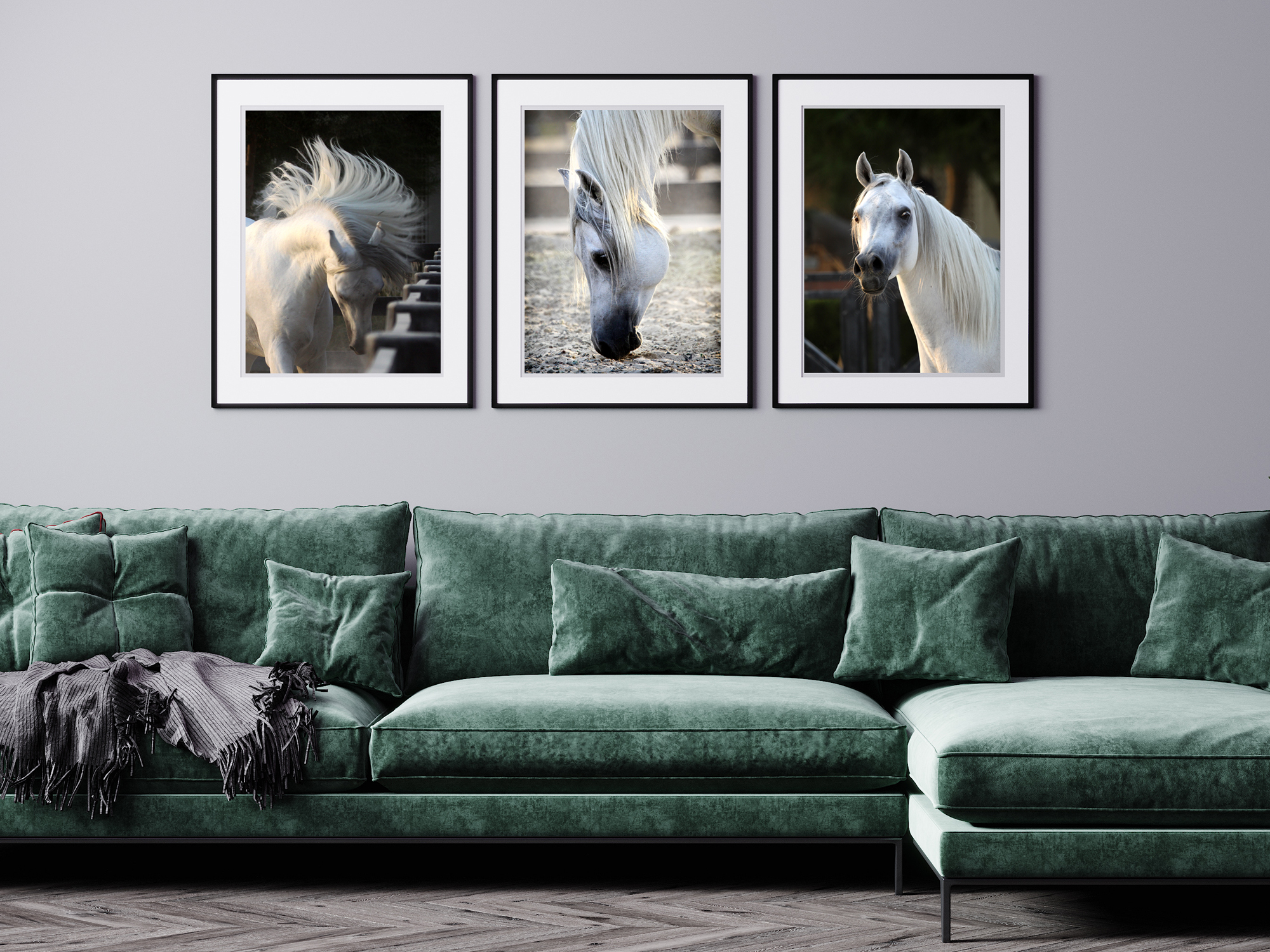 arab_stallion_set_of_three_1_2000px_x1500px