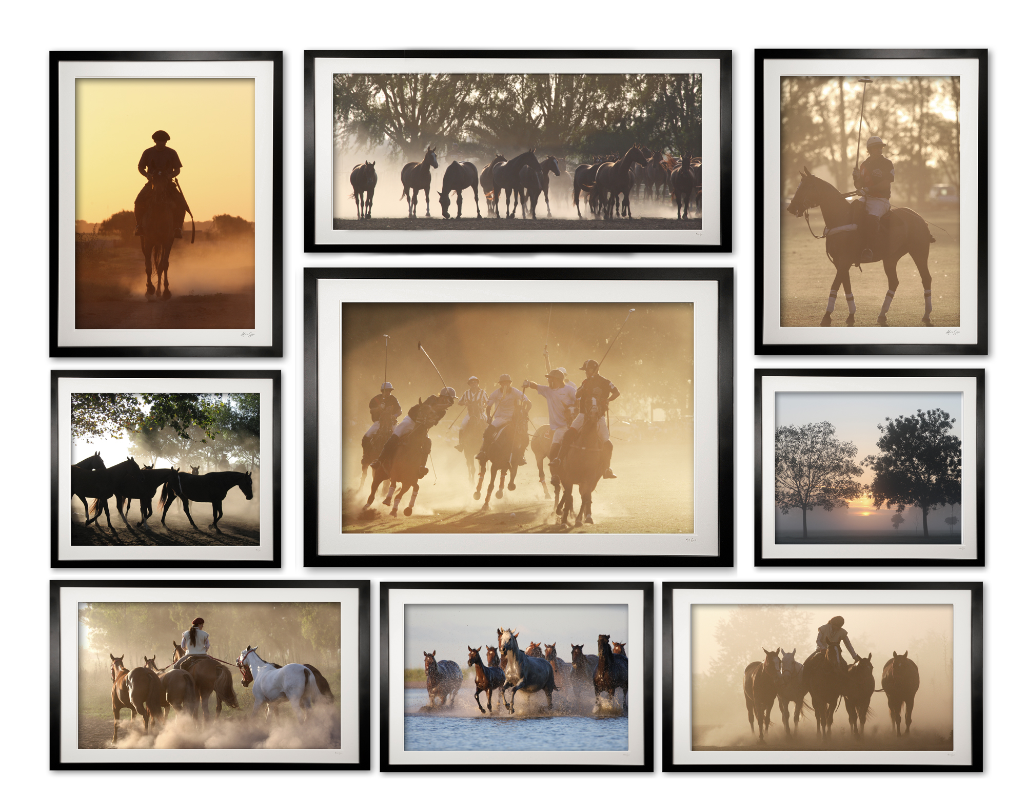 collection_ii_of_9_assorted_cubix_pampas_poloi