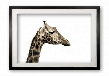 00017_maggie_black_cubix_special_edition_of_25_frames