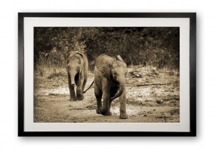 00019_sheldricks_children_ii_black_cubix_special_edition_of_25_framed
