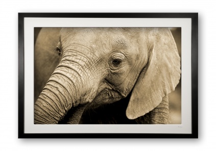 00020_mini_trumpeter_cubix_special_editionof_25_framed