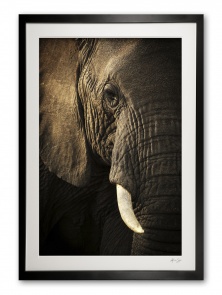 00022__gentle_giant_limited_edition_of_100_1-50_in_colour_51-100_in_bw_1389371704