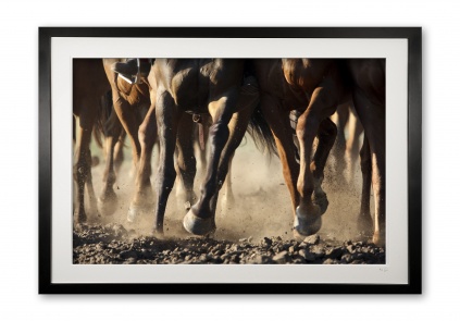 018__hooves_in_motion_img_9220_framed