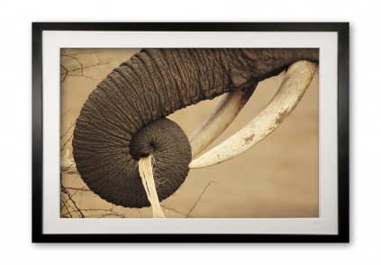 01_ivory_owner_black_cubix_photo_framed_1972287382