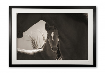 021__mother__son_img_1219__framed