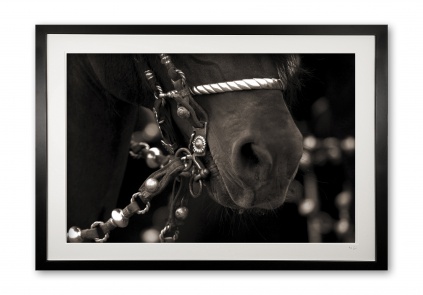 029__a__argentine_tack_detail_in_sepia_bit_framed