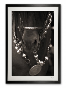 029__b__argentine_tack_detail_in_sepia___breastplate_framed