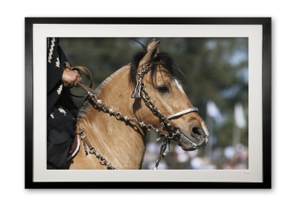 030_a__caramel_criollo_img_7702_framed