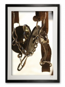 037__coscojero_i_img_0332_framed