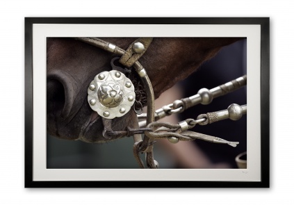 038__coscojero_ii_jt2m4983_framed