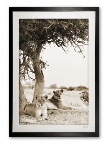 03_b__under_the_tree