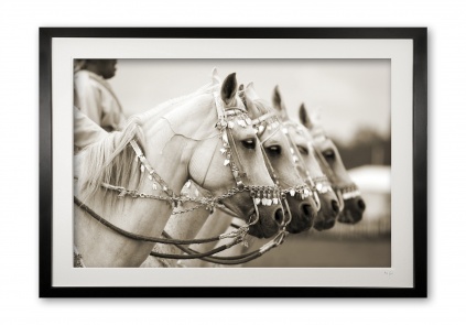 046__majestic_sepia_e56g7160_sepia_framed