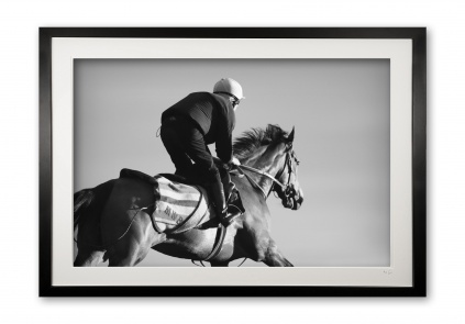 048_c__golden_galloper