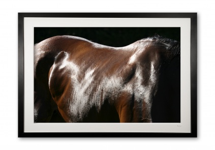 048_e__shimmer_img_3582_framed