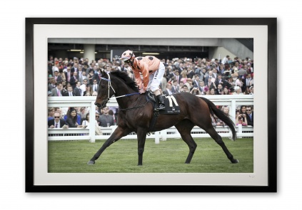 048_o_black_caviar_ii_e56g8662_fade_special_edition_of_25_framed_1552041691