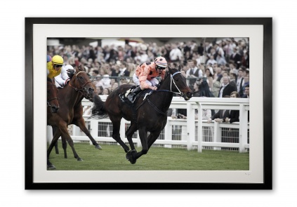 048_q__black_caviar_iii_e56g8691_fade_special_edition_of_25_framed