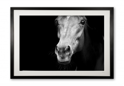 048_s__epsom_racehorse_i_e56g7941_1bw_framed