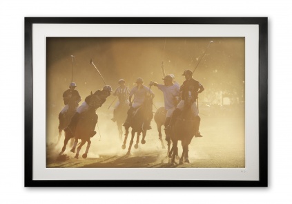 057__pampas_polo_075x0314_framed