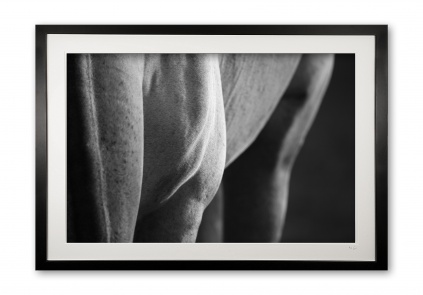 069_b__equine_sculpture_i_black__white_075x1312_framed