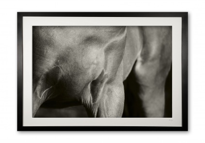 069_c__equine_sculpture_ii_sepia__special_edition_of_25_framed_1701361549